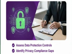 DPDP – Internal Audit Services –  Nipto Coins LLP – NC401